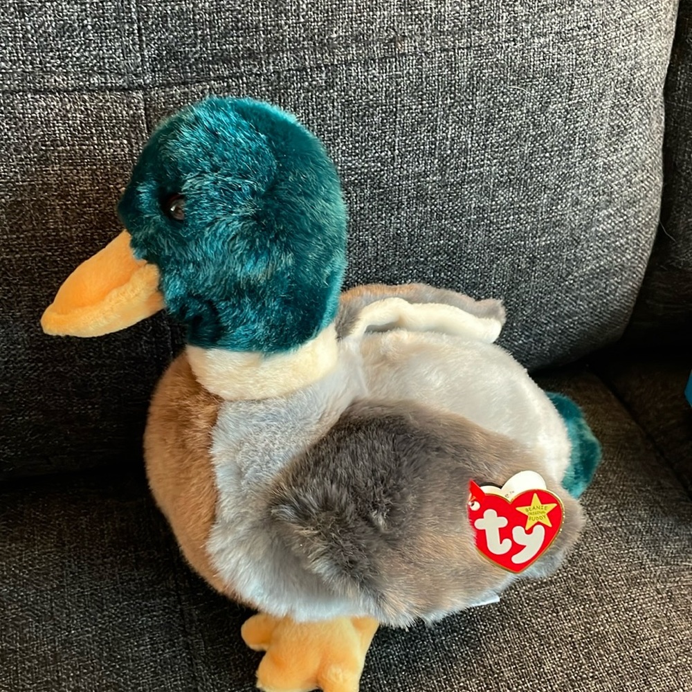 Ty Jake the mallard beanie buddy. New with tags. 1998.